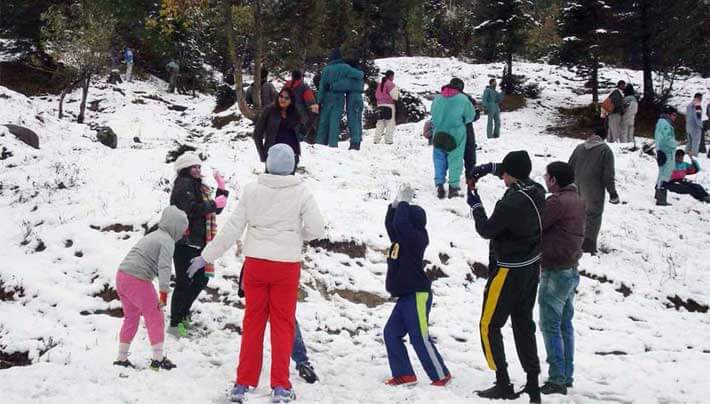 packages for couples and families, best manali tour packages you must try- Sparsh Resort